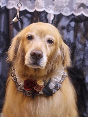 20231025五助くん